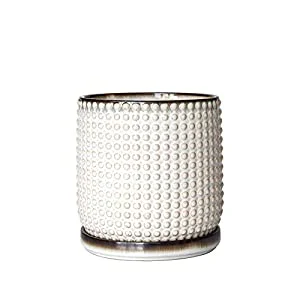 6 Inch Beaded Stoneware Planter Pot with Drainage Hole and Saucer, Smoked White, 27-M-K2-A-3